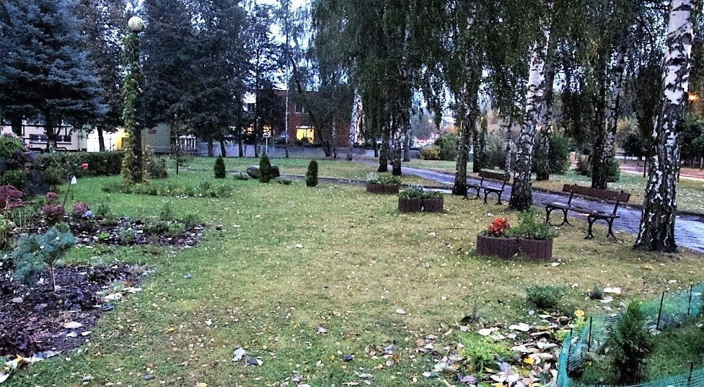 Ogród ziołowo- kwiatowy przy Starogardzkim Centrum Kultury, który założyli studenci UTW