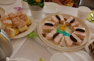 Dzień Motyla 2019