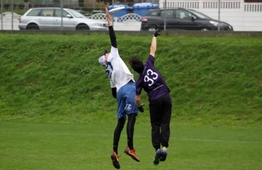 Frisbee 