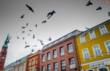 Przebojowa zima z Radiem ZET