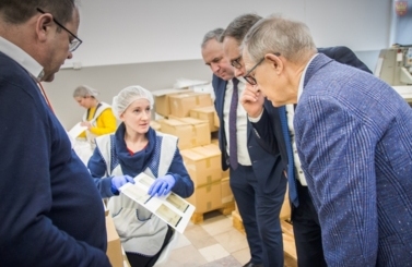 Merkury Ateliers
