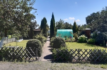 Zielony Starogard 2020