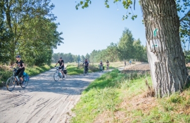 20. Rajd Gwiaździsty