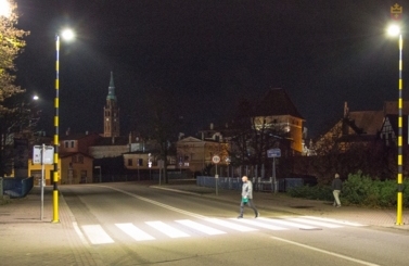 Żyrafy na przejściach