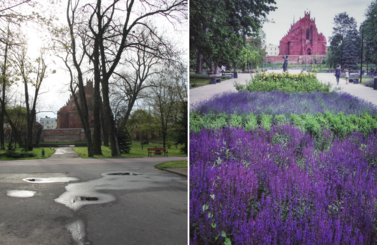Park Miejski wyr&oacute;zniony