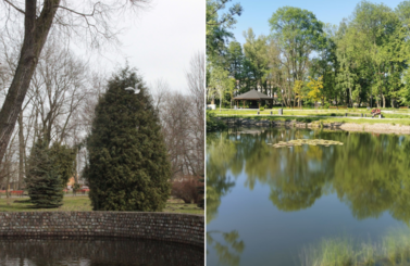 Park Miejski wyr&oacute;zniony