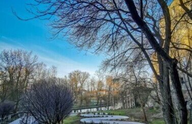Park Miejski wyr&oacute;zniony