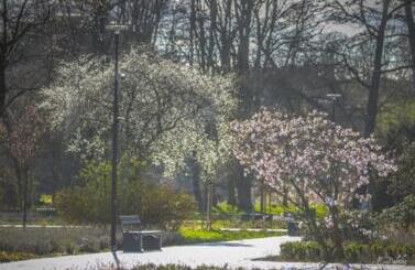 Park Miejski wyr&oacute;zniony