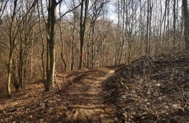 Tor dla BMX