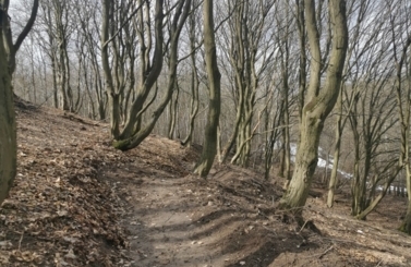 Tor dla BMX