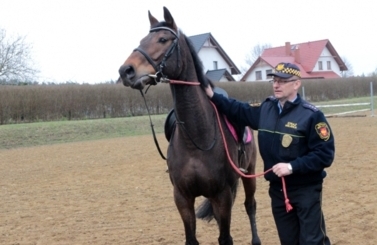 Straż Miejska przesiada się na konie