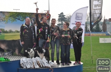 ZooBajka Flyball Cup 2017