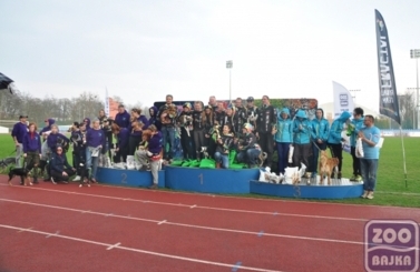 ZooBajka Flyball Cup 2017