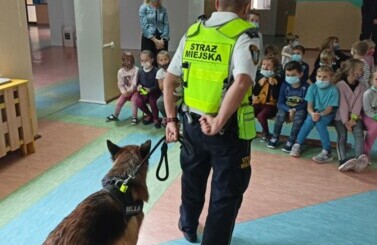 Bezpieczna droga do szkoły