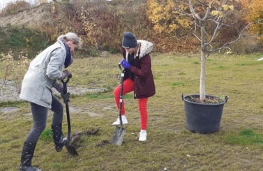 Piknik Jesienny