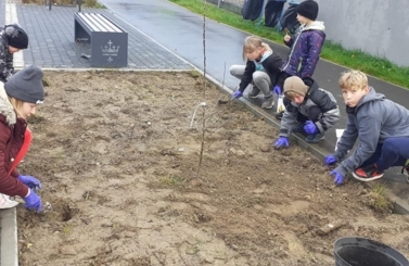 Piknik Jesienny