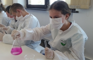 Wycieczki edukacyjne do Tczewa