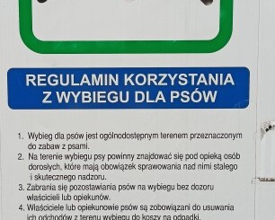 Atak psa na łabędzia