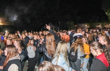 Wild Night Fest