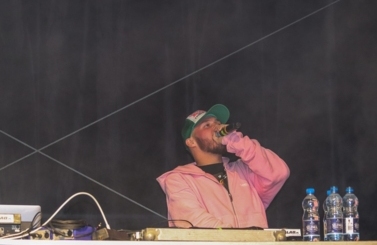 Wild Night Fest
