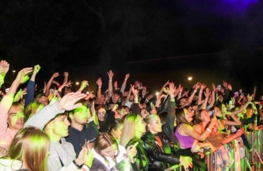 Wild Night Fest