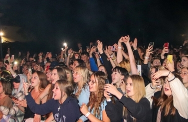 Wild Night Fest