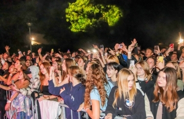 Wild Night Fest
