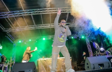 Wild Night Fest