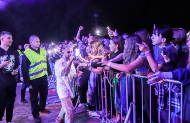 Wild Night Fest