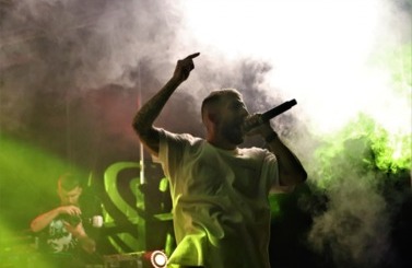 Wild Night Fest