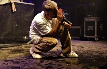 Wild Night Fest