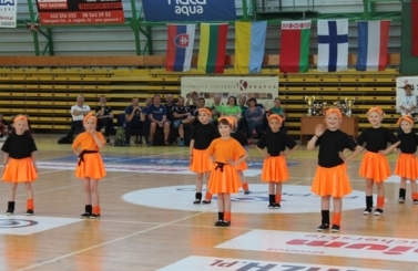 XXIX Międzynarodowy Turniej Siatk&oacute;wki