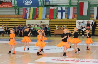 XXIX Międzynarodowy Turniej Siatk&oacute;wki