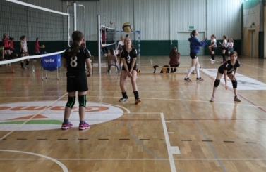 XXIX Międzynarodowy Turniej Siatk&oacute;wki