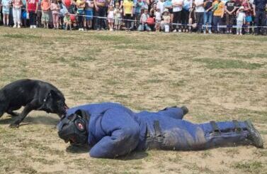 Dzień Dziecka z Policją i Strażą 2023