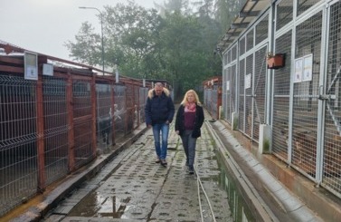 Dzień Kundelka OTOZ 2023