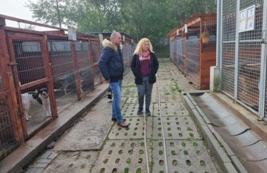 Dzień Kundelka OTOZ 2023