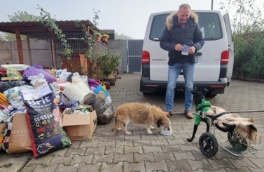 Dzień Kundelka OTOZ 2023