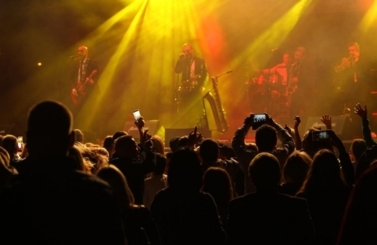 V festiwal piwa
