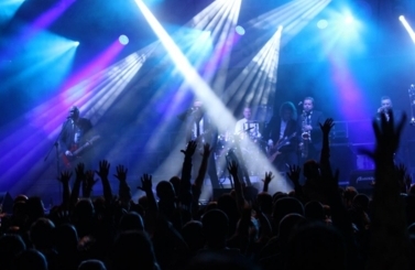 V festiwal piwa