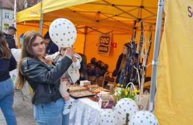 koncert DOLINA DOBROCI