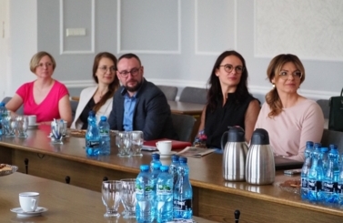Rada Kultury