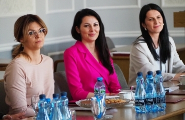 Rada Kultury