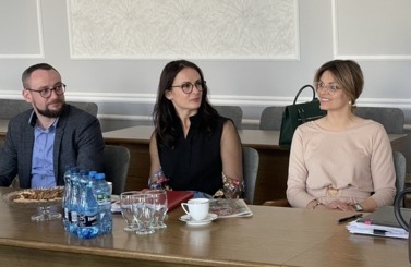 Rada Kultury