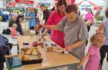 Piknik Rodzinny In Fortes 