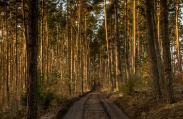 Dolina Wierzycy