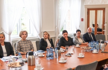 Raport Komisj ds aanalizy Praktyki Ochrony Dziecka