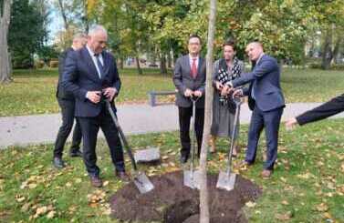 10-lecie wsp&oacute;łpracy z Foshan