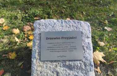 10-lecie wsp&oacute;łpracy z Foshan
