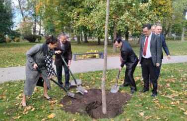10-lecie wsp&oacute;łpracy z Foshan